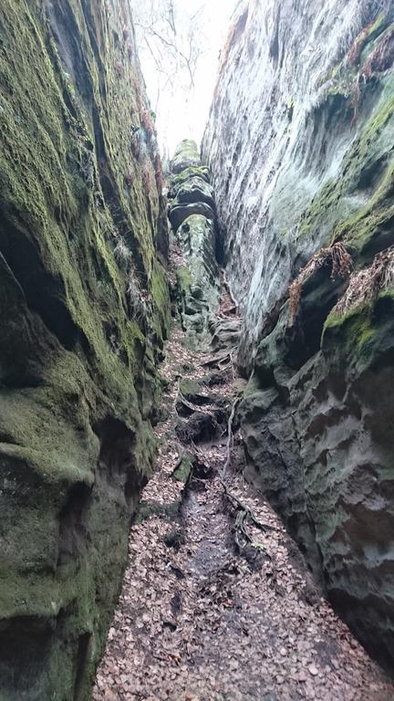Parkhotel Skalni Mesto Jičín Exteriör bild
